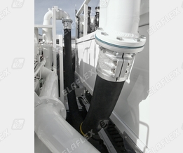 Hose Assemblies with Flange - Elapac seals