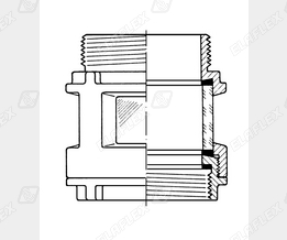SG4 Rg Schnitt
